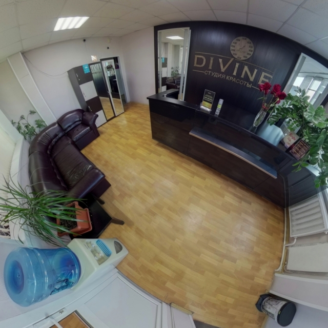 DIVINE